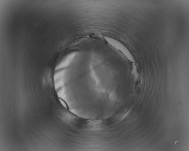 X0000073860143200609071643