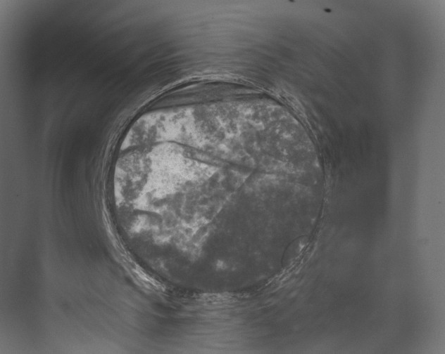 X0000073860145200609071642