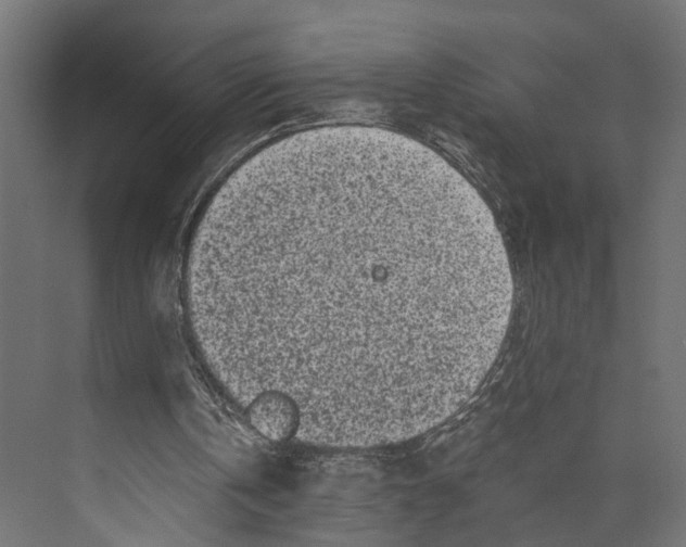 X0000073860146200609071642