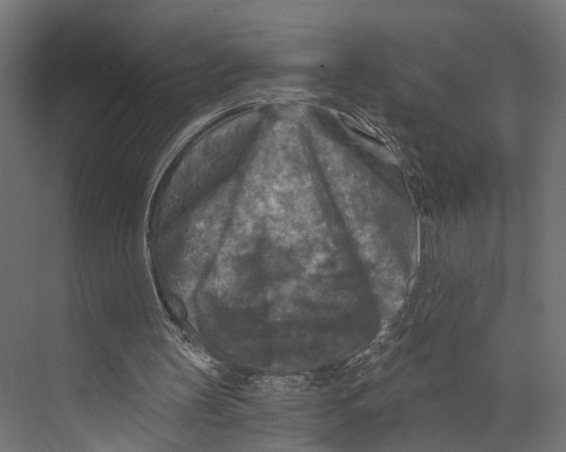 X0000073860147200609071642