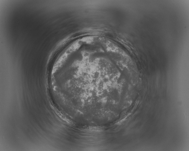 X0000073860149200609071642