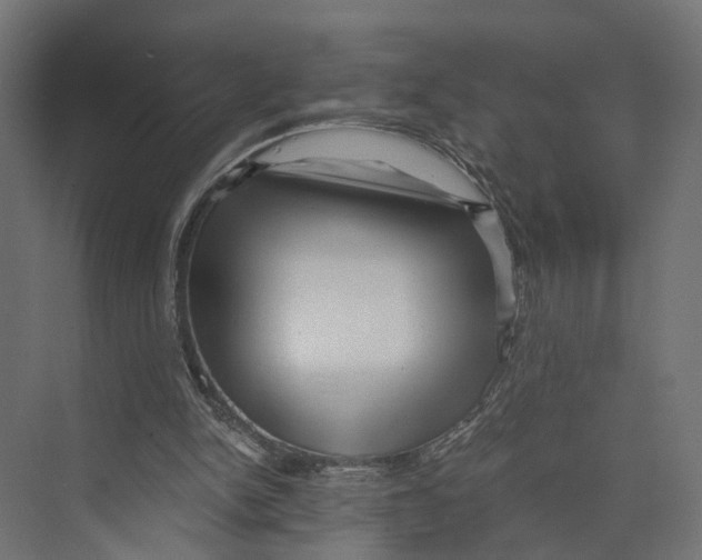 X0000073860150200609071642