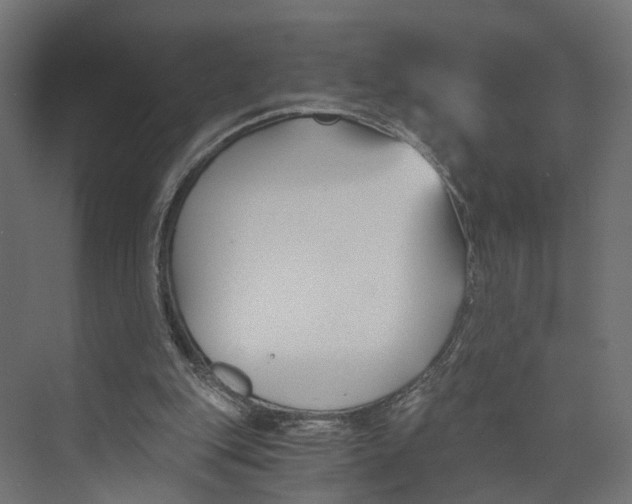 X0000073860151200609071642