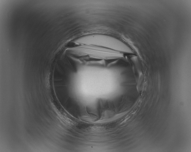 X0000073860154200609071642