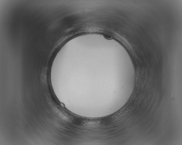 X0000073860155200609071642