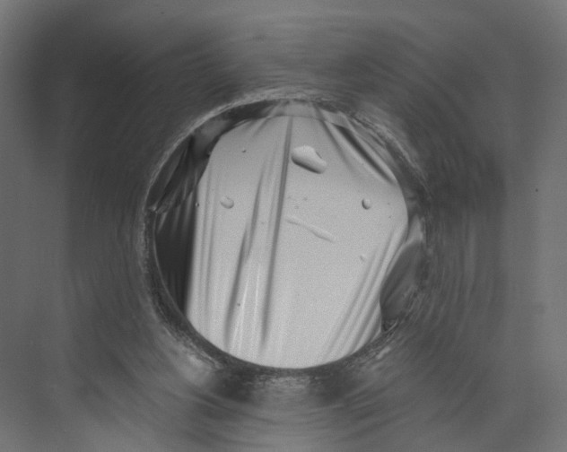 X0000073860156200609071642