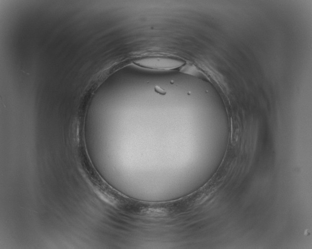 X0000073860157200609071642