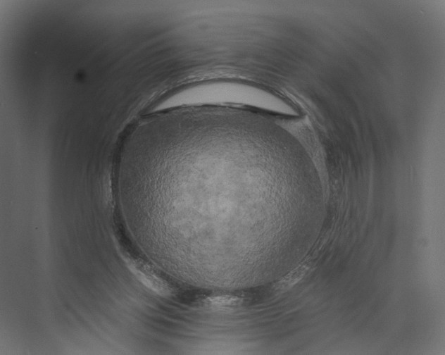 X0000073860158200609071642