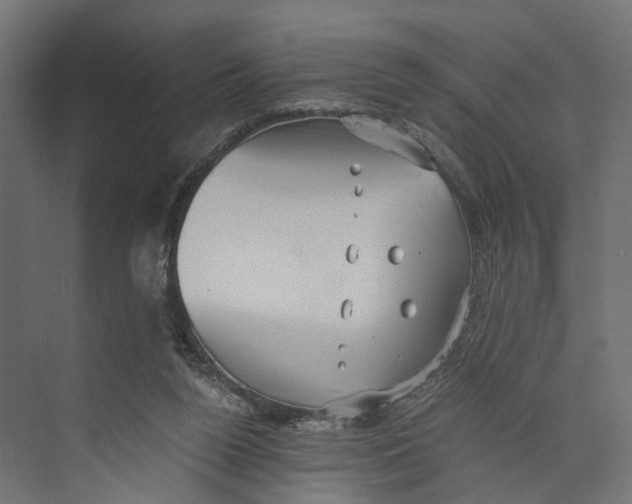 X0000073860160200609071642