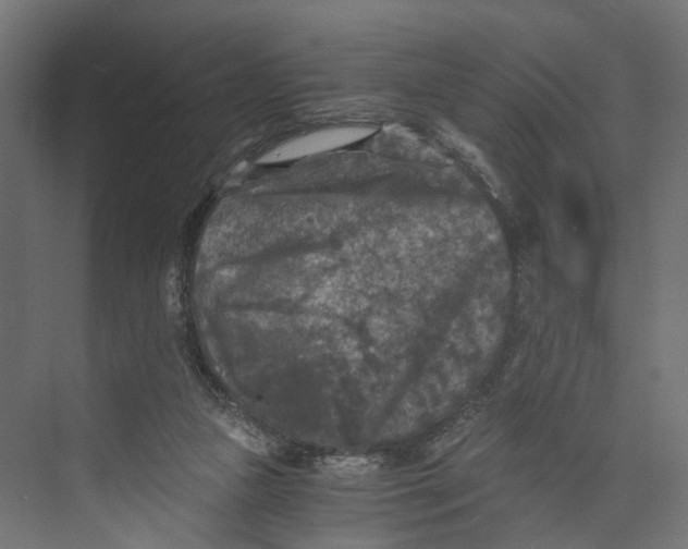 X0000073860161200609071642