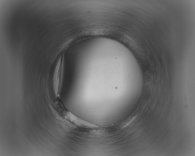 X0000073860164200609071642