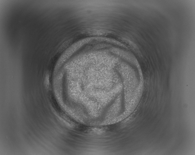 X0000073860166200609071642