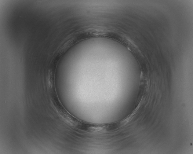 X0000073860170200609071642