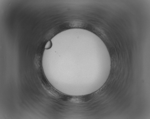 X0000073860171200609071642