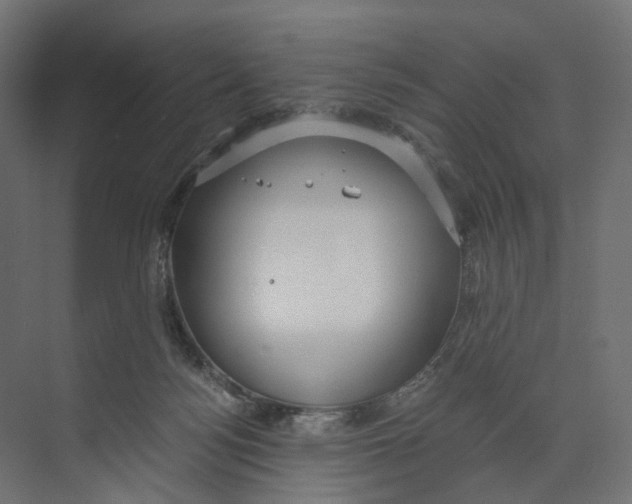 X0000073860172200609071642