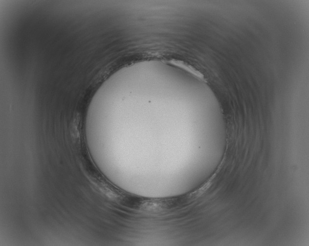 X0000073860174200609071642