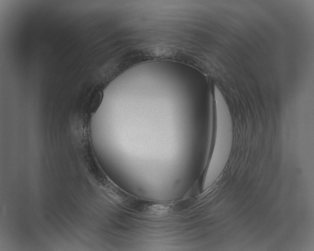 X0000073860176200609071642