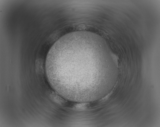 X0000073860178200609071642