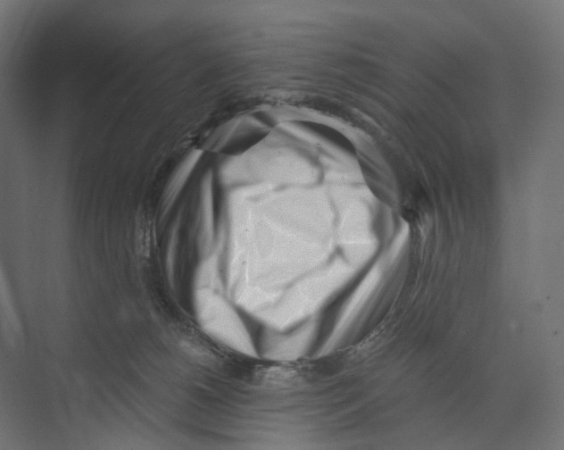 X0000073860180200609071642