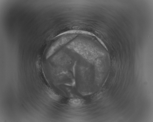 X0000073860181200609071642