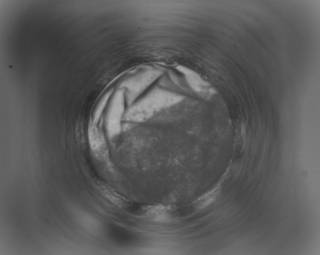 X0000073860182200609071642