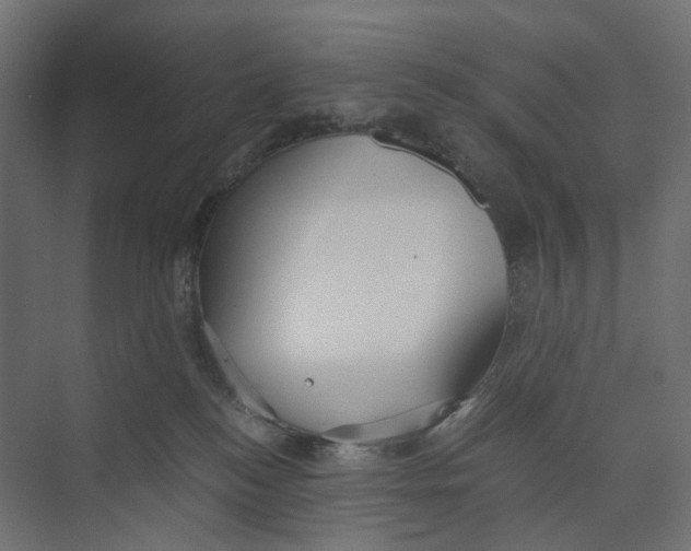 X0000073860184200609071642