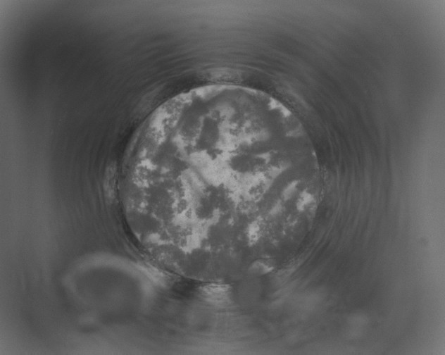 X0000073860189200609071643