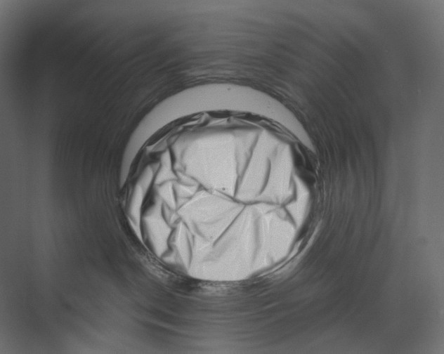 X0000073860190200609071643