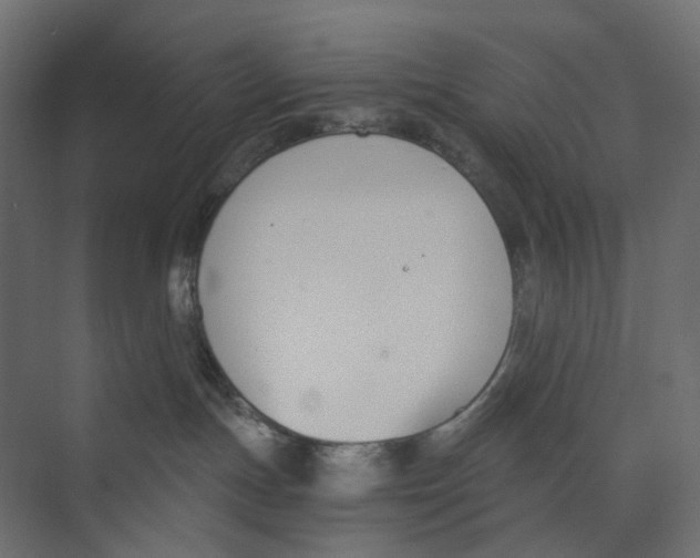 X0000073860191200609071643