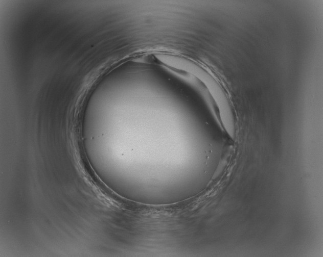 X0000073860193200609071642