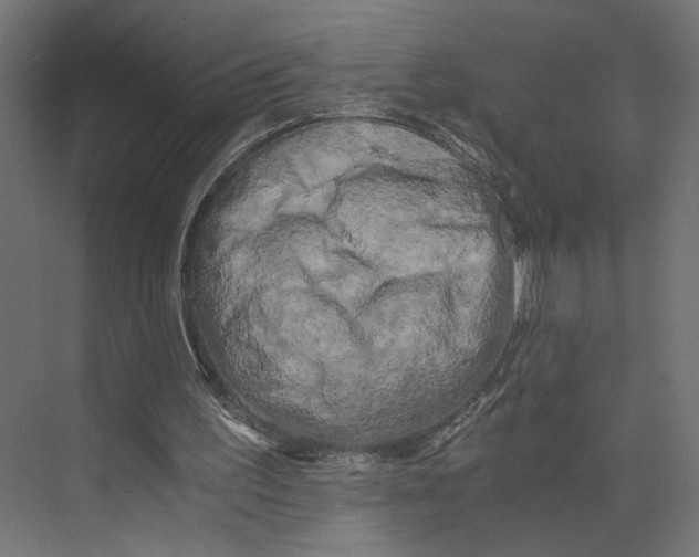 X0000073860195200609071642