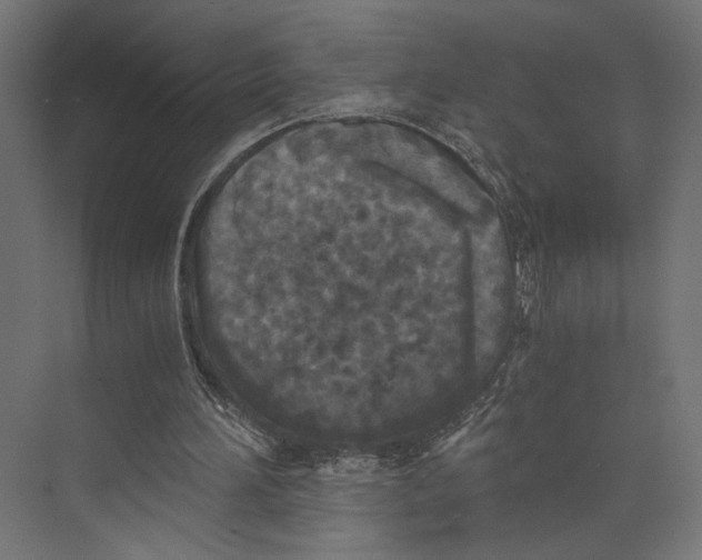 X0000073860196200609071642