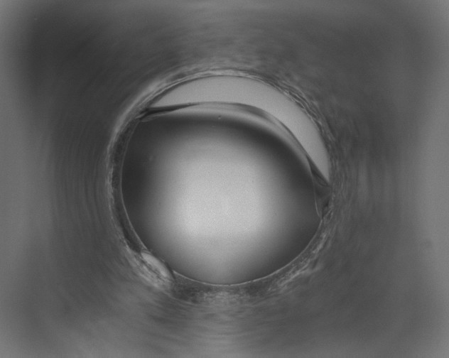 X0000073860197200609071642