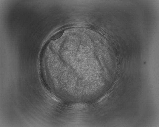 X0000073860198200609071642