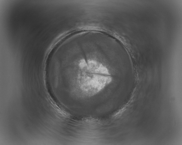 X0000073860199200609071642