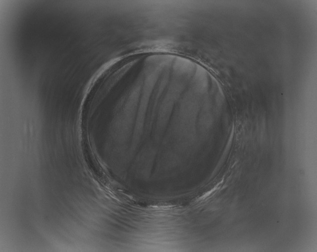 X0000073860200200609071642