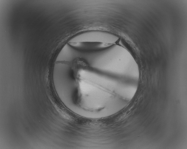 X0000073860201200609071642