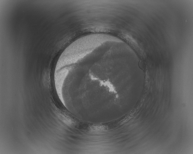 X0000073860202200609071642