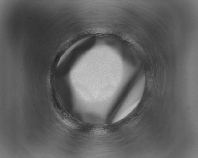 X0000073860207200609071642