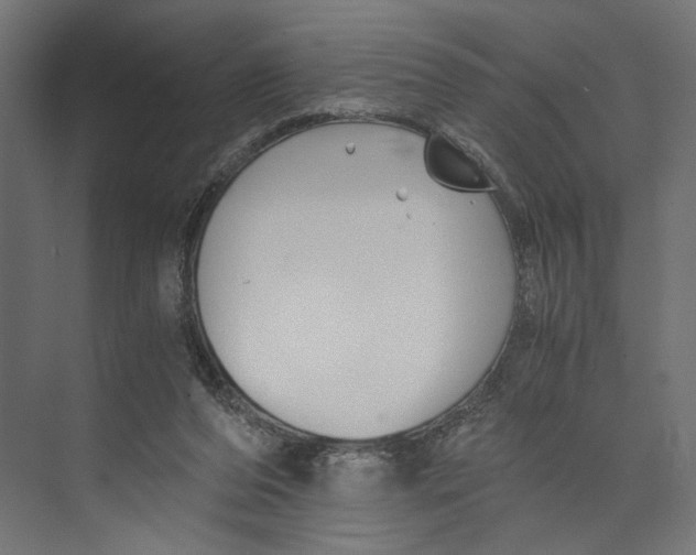 X0000073860208200609071642