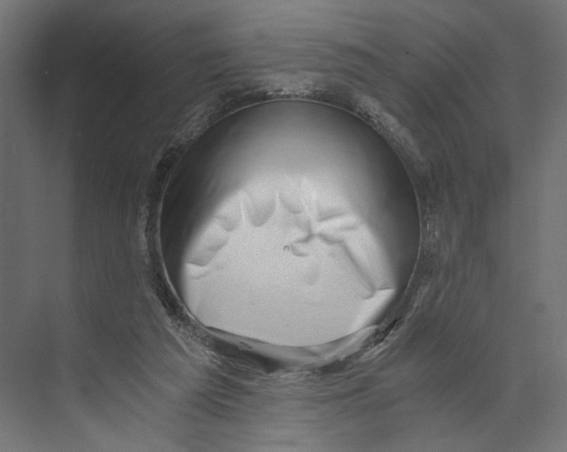 X0000073860209200609071642