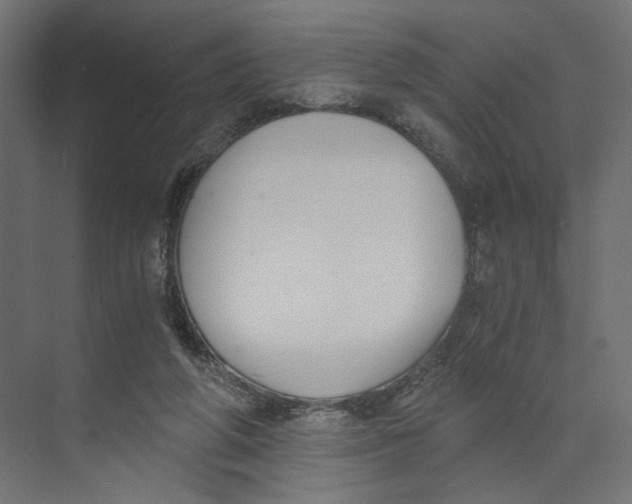 X0000073860210200609071642