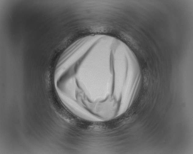 X0000073860211200609071641