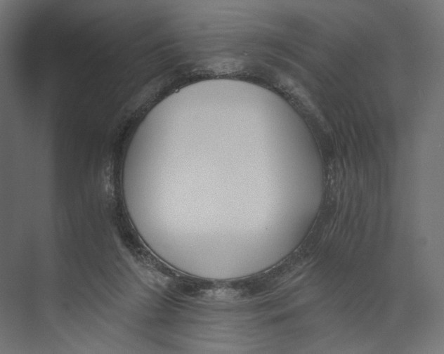 X0000073860212200609071641