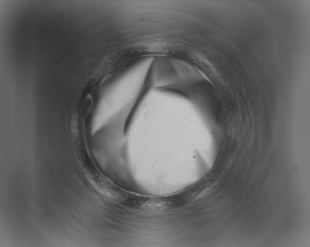 X0000073860213200609071641