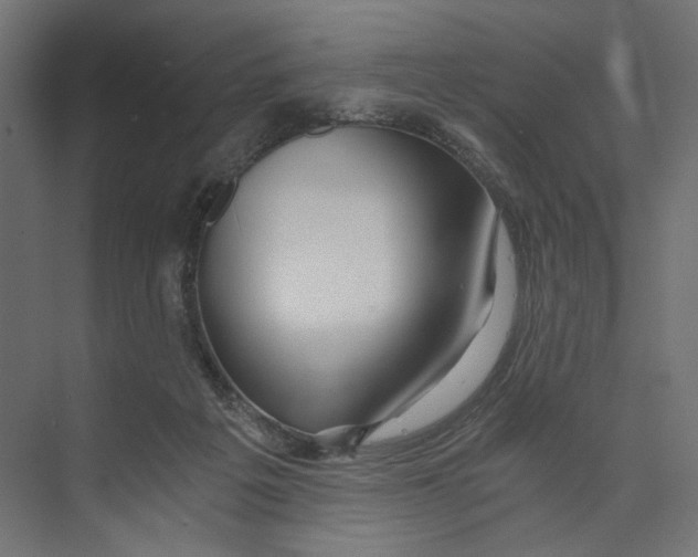 X0000073860217200609071641