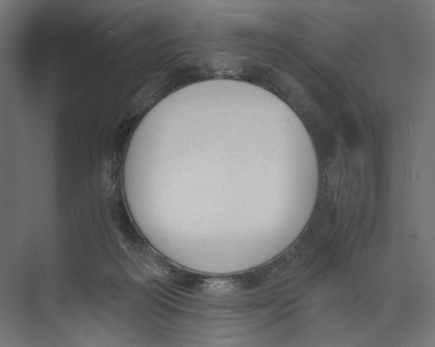 X0000073860218200609071641