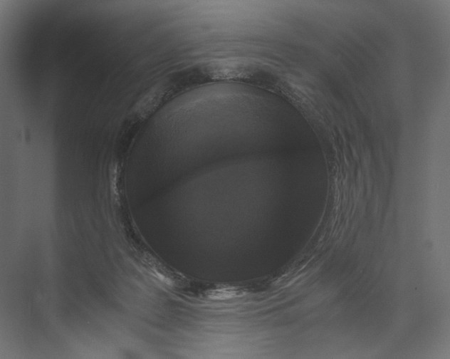 X0000073860219200609071641