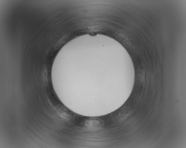 X0000073860220200609071641