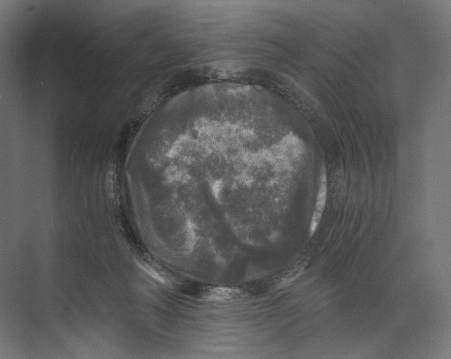 X0000073860222200609071641